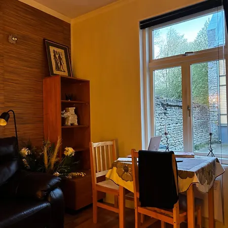 Cozy One In The Kalamaja District Apartament *